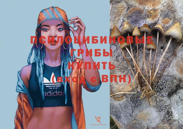 spice Абинск
