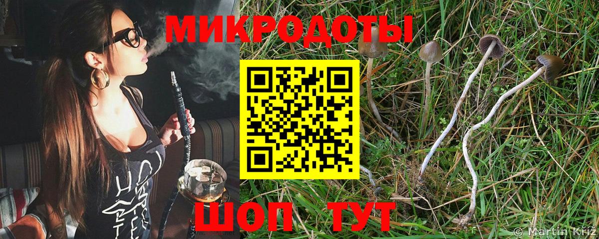 Псилоцибиновые грибы Psilocybe  Галлюциногенные грибы Magic Shrooms  Вход с VPN  Россошь 