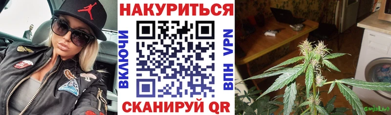 где купить наркоту  гидра рабочий сайт  Марихуана LSD WEED  Россошь 